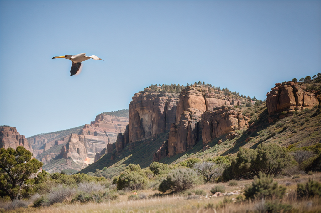 Exploring the Marvels and Distinctions of Various Bird Species